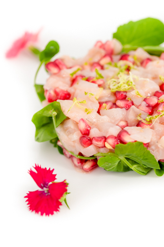 Tartare de poisson cru avec graines de grenade sur lit de salade verte, fleur rose décorative sur fond blanc.